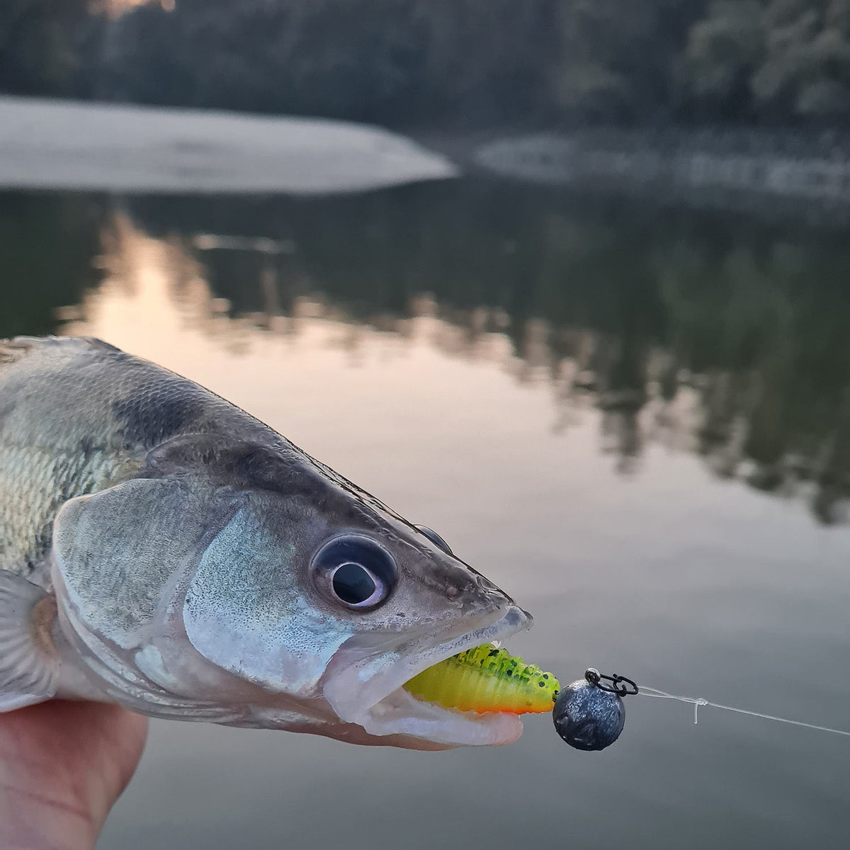 Reiva Fluorocarbon előke 2/cs 40cm/0,55mm