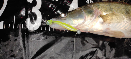 Reiva Zander Power Shad 10cm 4db/cs (Bleak)
