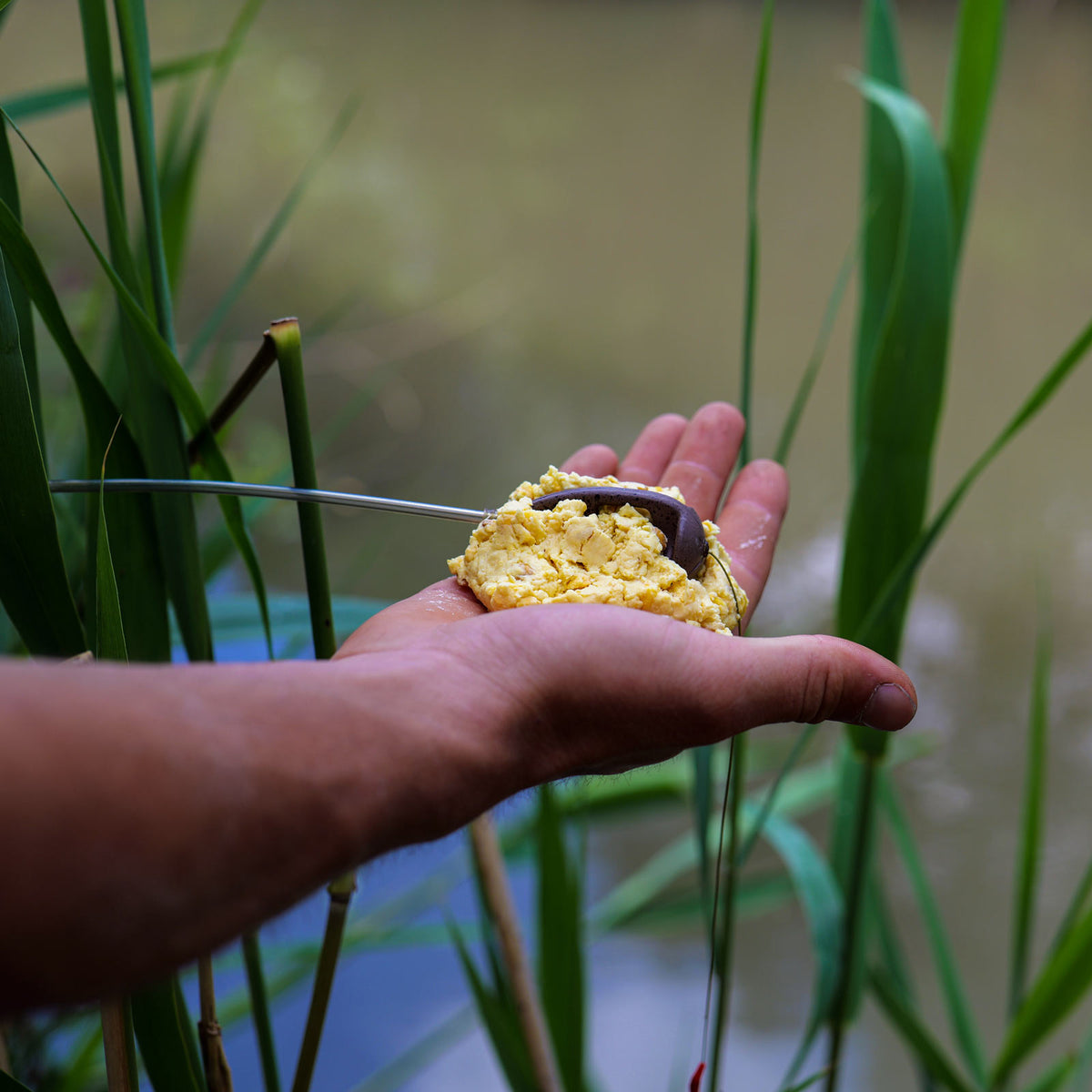 Stég Fermented Corn 900g
