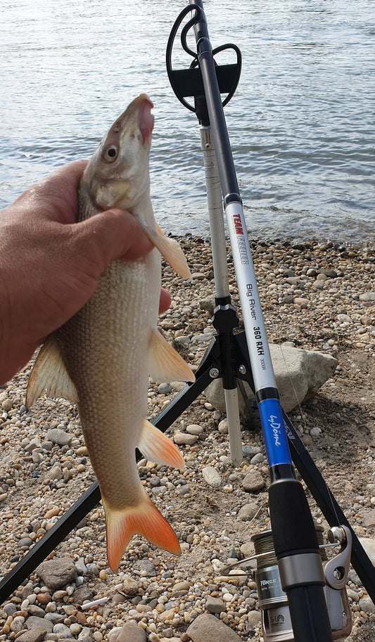 Team Feeder Big River 330 RXH 100-300g