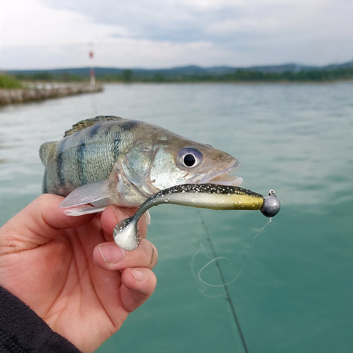 Reiva Ultra Strong Jig Head 6/0 28g 3db/cs