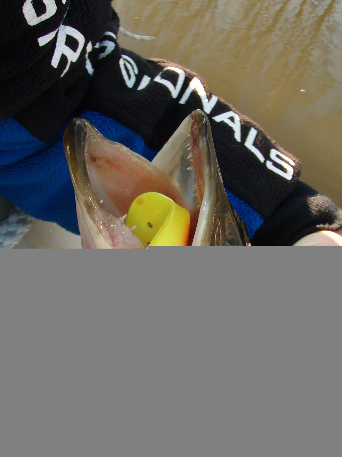 Twister Shad Nevis 3db/cs (Classic White)
