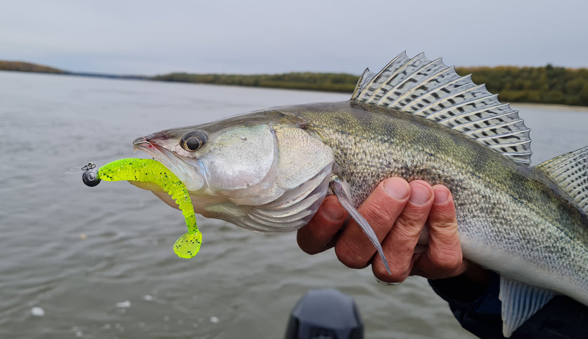 Nevis Impulse Shad 10cm 4db/cs (Classic White)