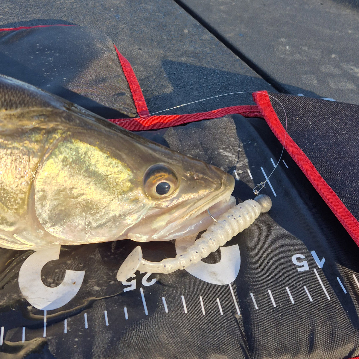 Reiva Stream Shad 8cm (Shiny Orange)